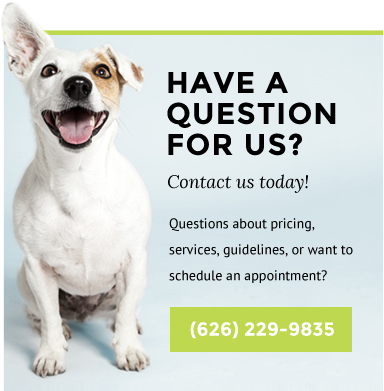 Contact Bowhaus Pets