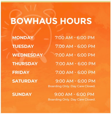 Bowhaus Hours